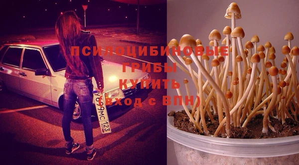 герыч Покачи