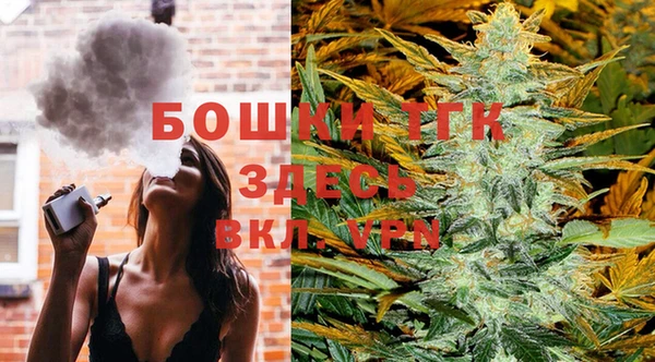 сатива Покровск