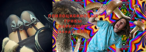 ПСИЛОЦИБИНОВЫЕ ГРИБЫ Покров