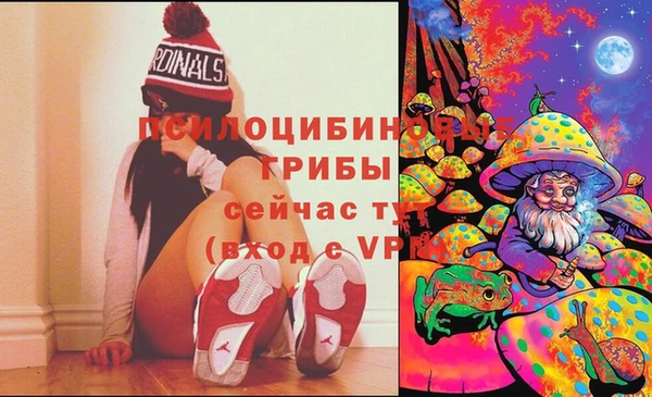 меф Щучье