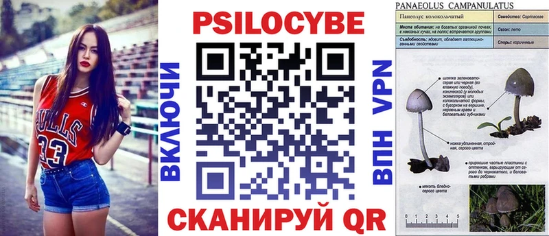 kraken вход  купить наркотик  Семёнов  Галлюциногенные грибы Psilocybine cubensis 